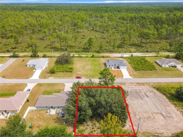 Ocala, FL 34473,TBD SW 128TH STREET RD