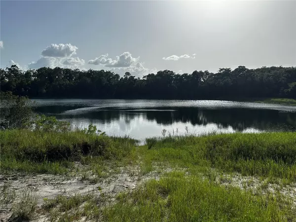 Ocklawaha, FL 32179,00 MALAUKA LOT 19 LOOP