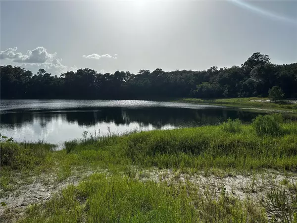 Ocklawaha, FL 32179,00 MALAUKA LOT 19 LOOP