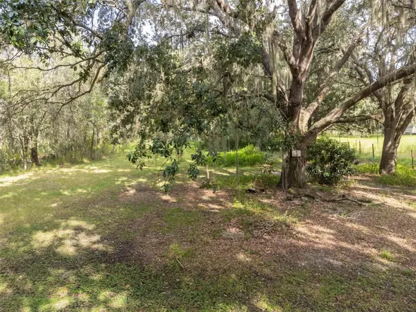 Groveland, FL 34736,13282 MARGARET LN