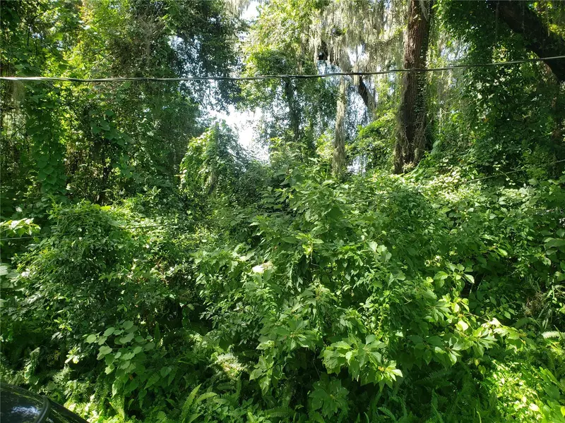 1079 SW 66TH PL, Bushnell, FL 33513