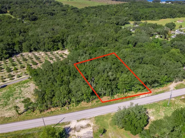 Weirsdale, FL 32195,TBD S HIGHWAY 25