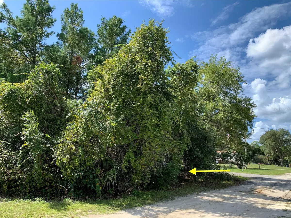 Paisley, FL 32767,LOT 2 HOLLY AVE