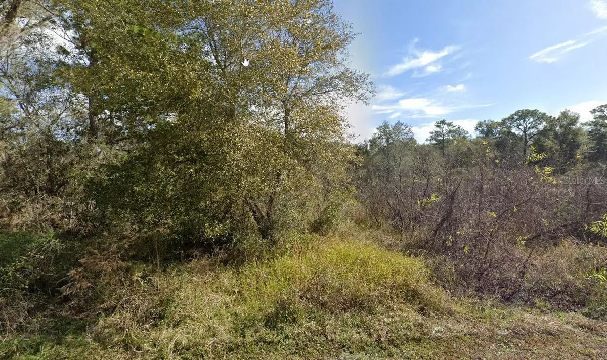 Webster, FL 33597,7450 CASTLEBERRY DR