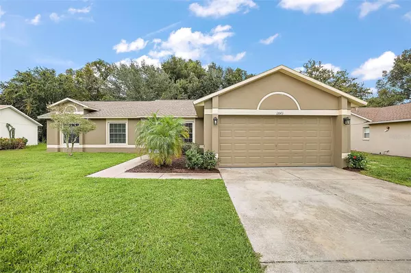 Clermont, FL 34711,11643 FOXGLOVE DR