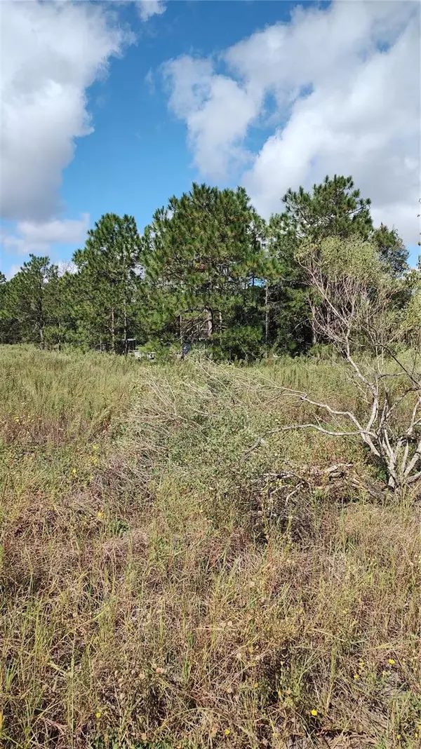 Ocala, FL 34481,Lot 2 SW 151ST CT