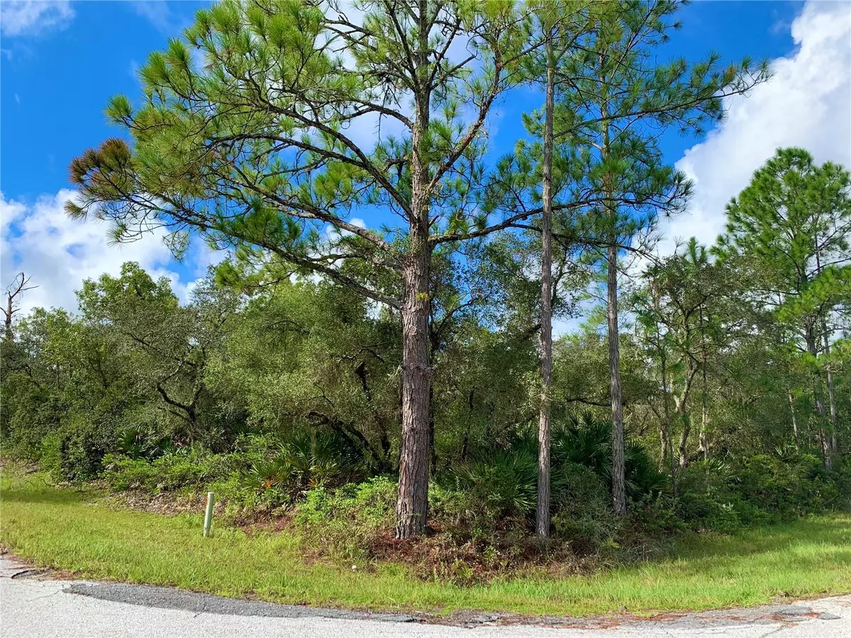 Eustis, FL 32726,LOT 13 VITEX CT