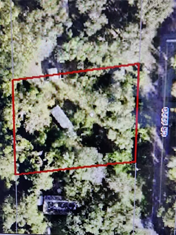 Bushnell, FL 33513,9655 CR 622G