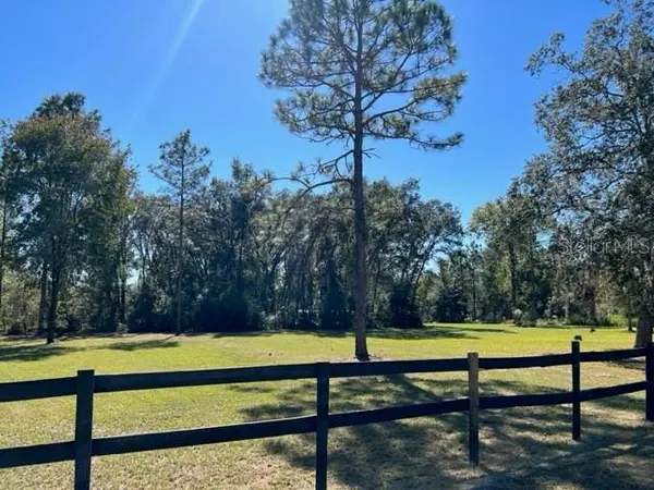 NE 19TH ST, Williston, FL 32696