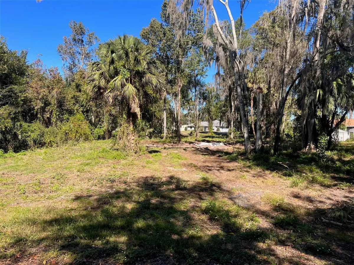 Lake Panasoffkee, FL 33538,CR 467