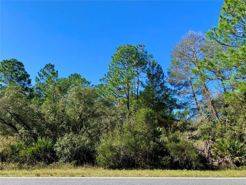 Lot 7 RED GUM CT, Eustis, FL 32736