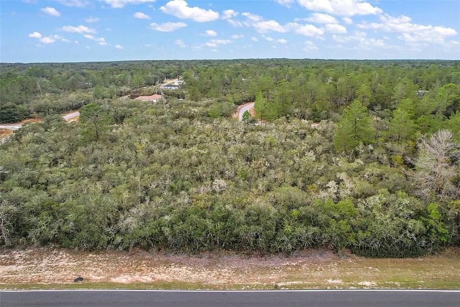 TBD FISHER RD, Ocklawaha, FL 32179