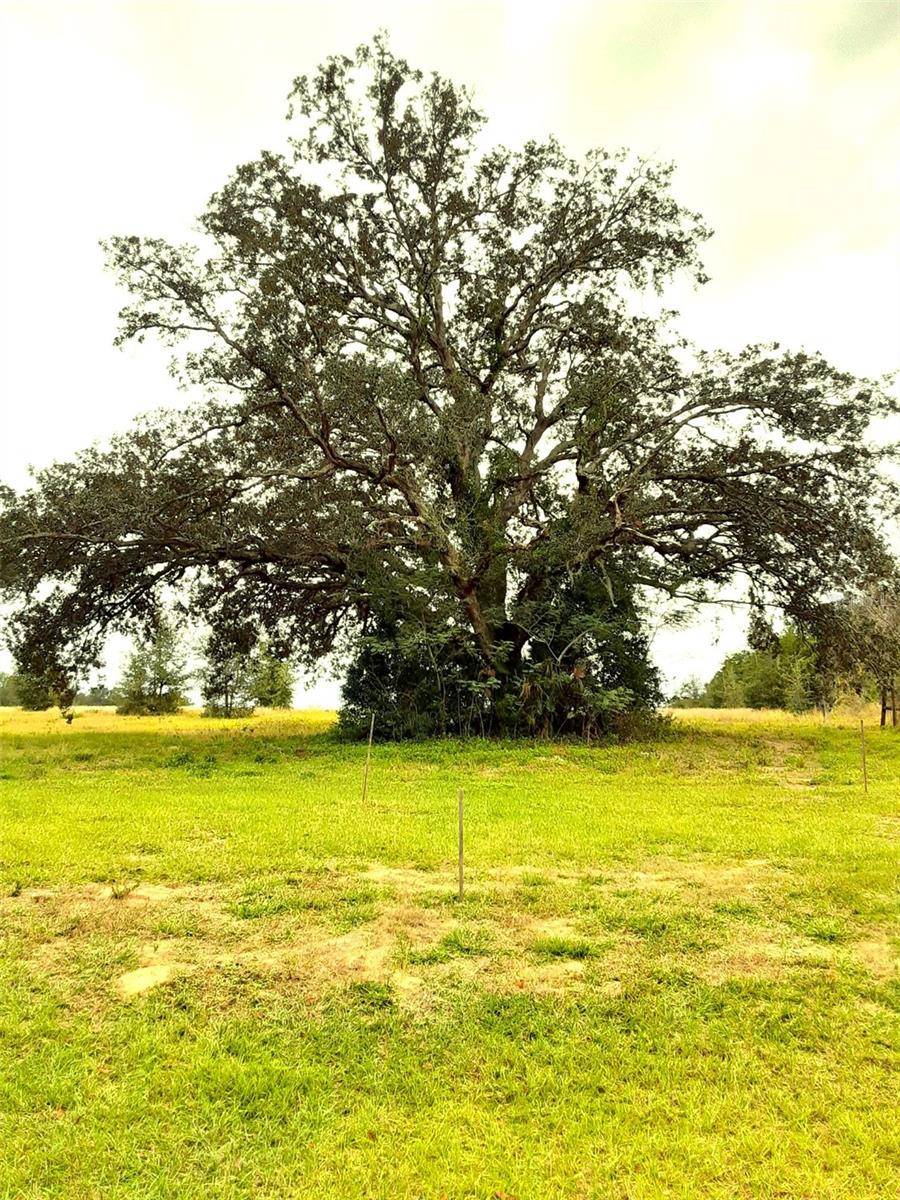 Apopka, FL 32712,5525 PANORAMIC VIEW DR