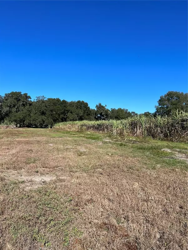 Webster, FL 33597,2842 CR 756