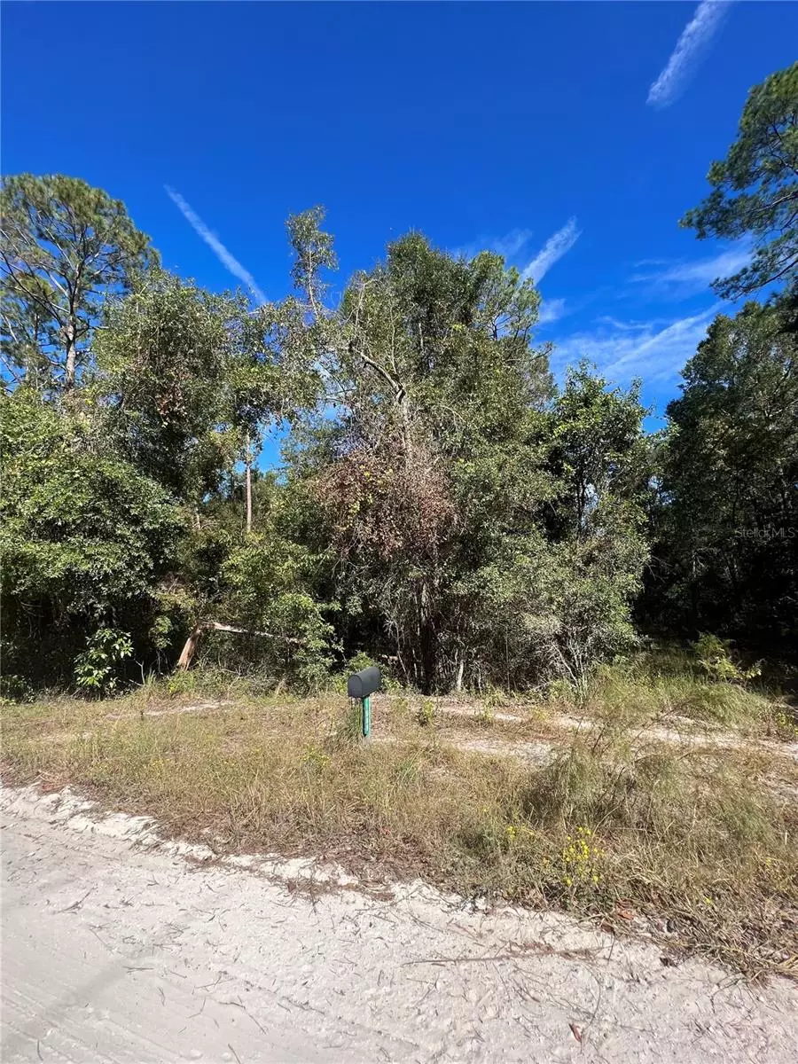 O'brien, FL 32071,TBD 204TH ST