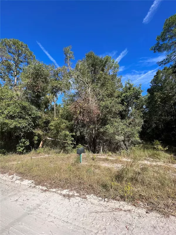 TBD 204TH ST, O'brien, FL 32071