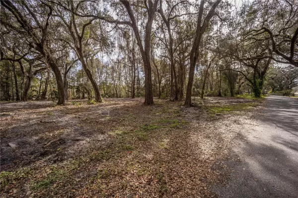 Bushnell, FL 33513,XXX COUNTY ROAD 650