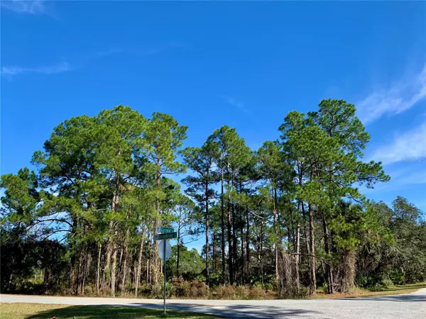 Lot 2 GREENBRIER ST, Eustis, FL 32736