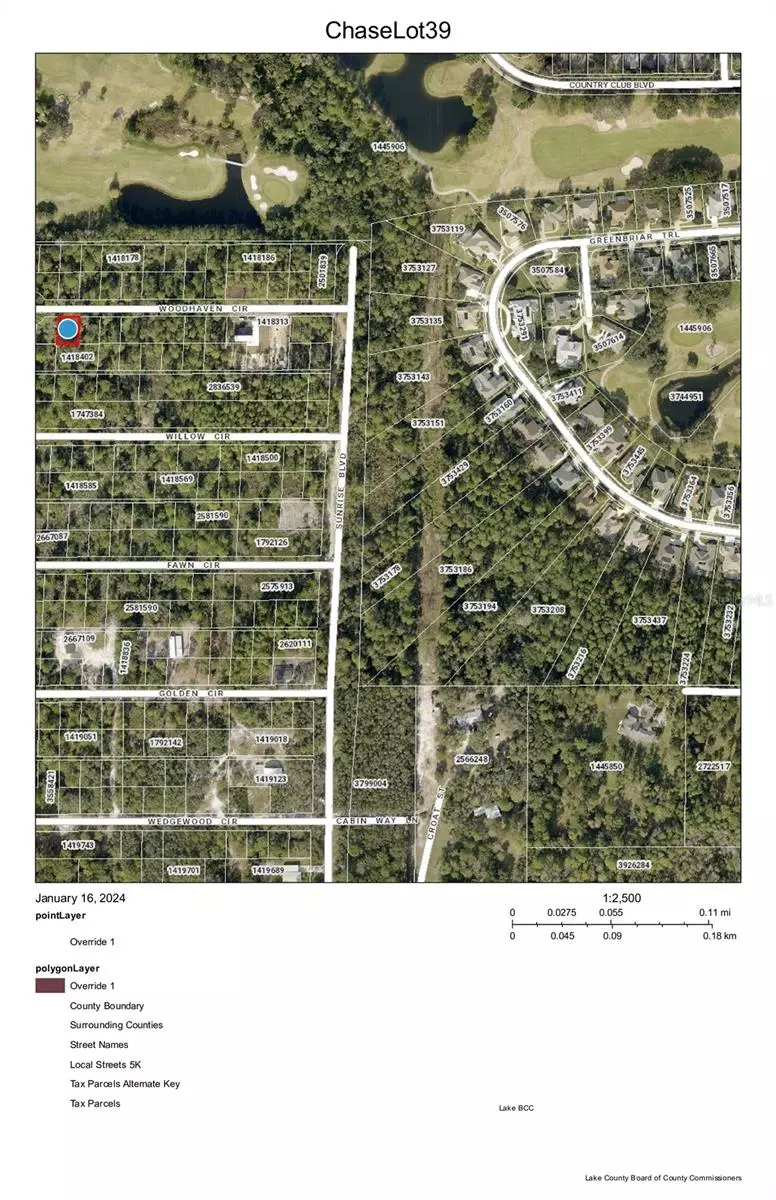 Mount Dora, FL 32757,CHASE - LOT 39 CT