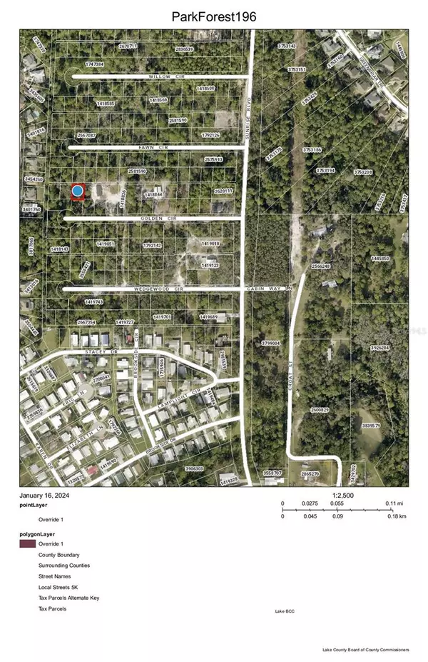 Mount Dora, FL 32757,PARK FOREST - LOT 196 BLVD