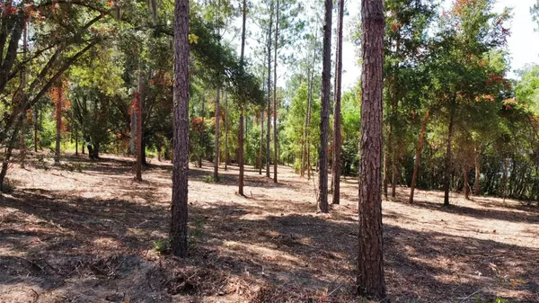 Altoona, FL 32702,KEENE RD LOT 3