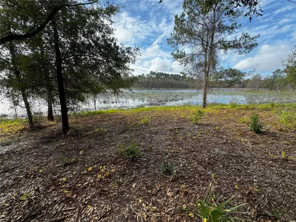 Altoona, FL 32702,KEENE RD LOT 5