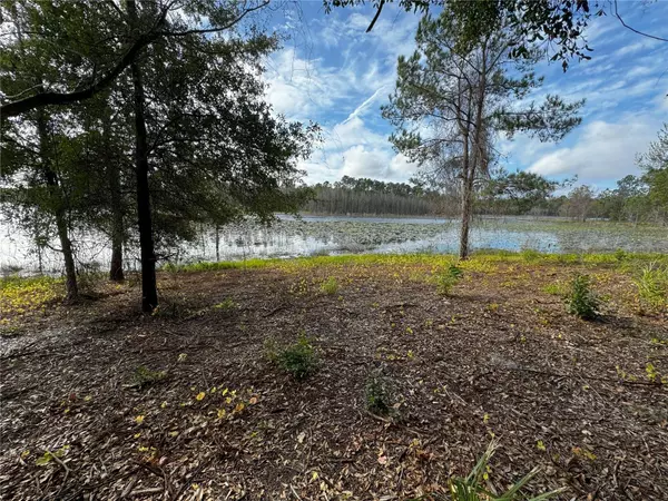 Altoona, FL 32702,KEENE RD LOT 6