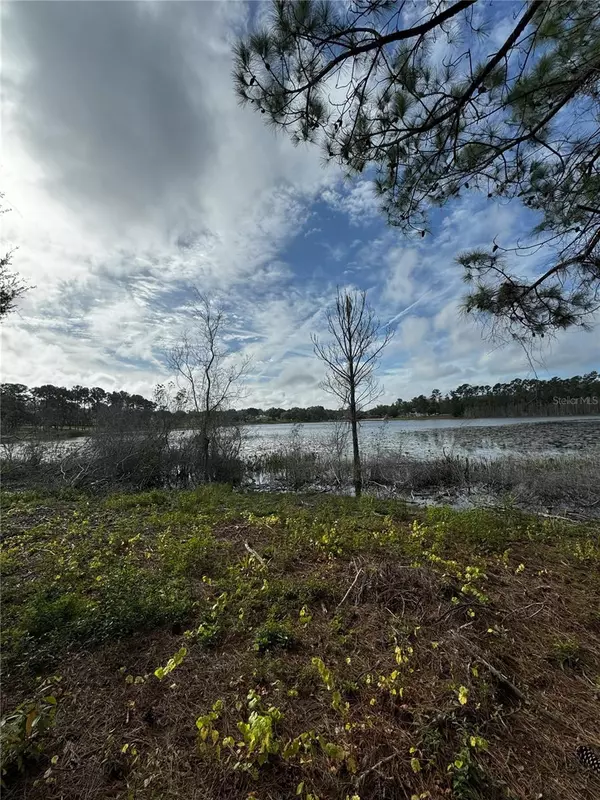 Altoona, FL 32702,KEENE RD LOT 6