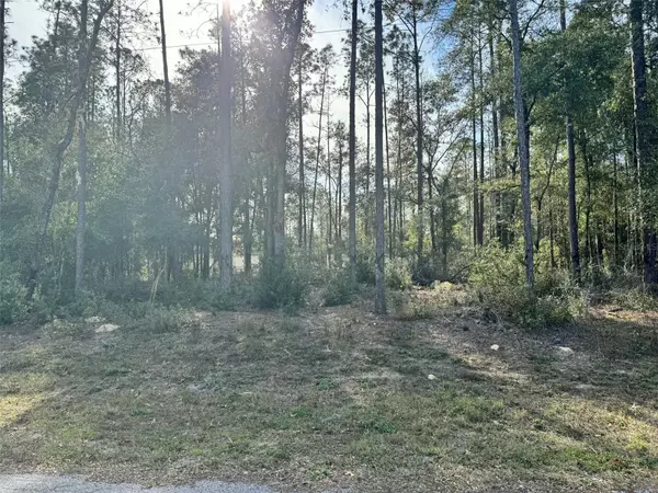 10390 N HOLCOMB DR, Citrus Springs, FL 34434