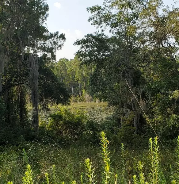 000 E HWY 40, Silver Springs, FL 34488