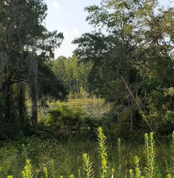 Silver Springs, FL 34488,000 E HWY 40