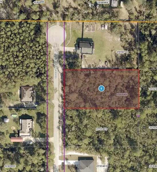 41930 CASSIA ST, Eustis, FL 32736