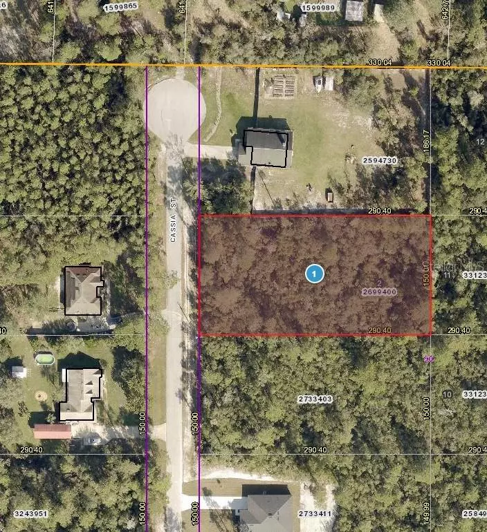 Eustis, FL 32736,41930 CASSIA ST