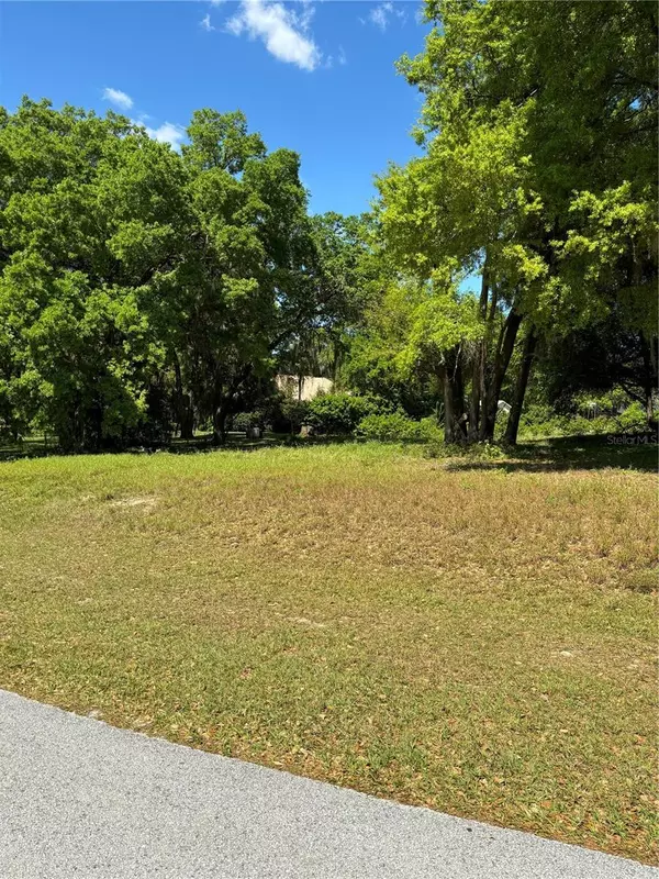 Lady Lake, FL 32159,OAK POINTE DR