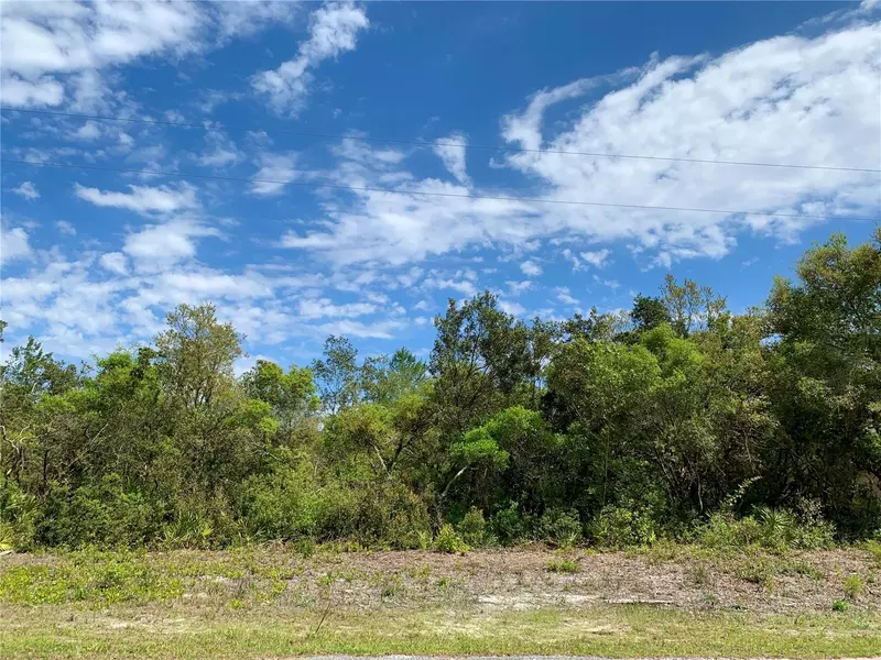 LOT 2 APPLE ST, Eustis, FL 32736