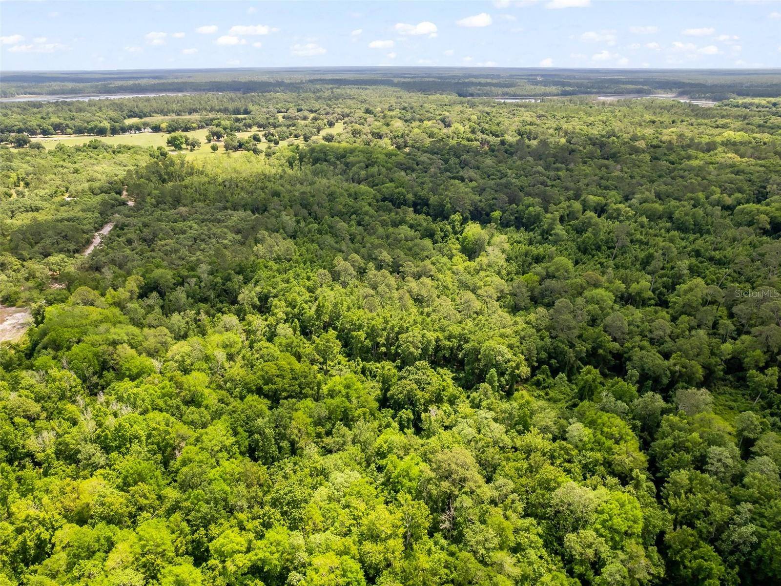 Ocklawaha, FL 32179,SE 182ND AVENUE RD