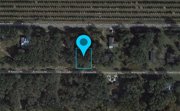 3180 W ANSONIA RD, Avon Park, FL 33825