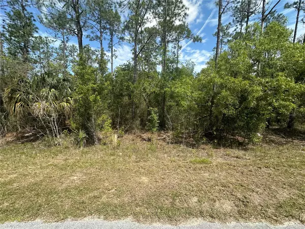 Dunnellon, FL 34431,SW MARINE BLVD