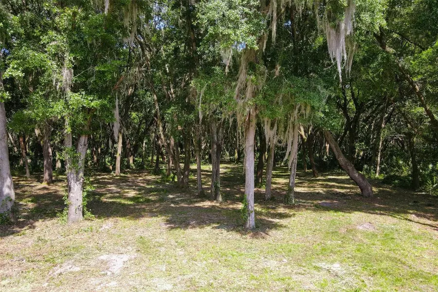 EMERALDA ISLAND RD, Leesburg, FL 34788