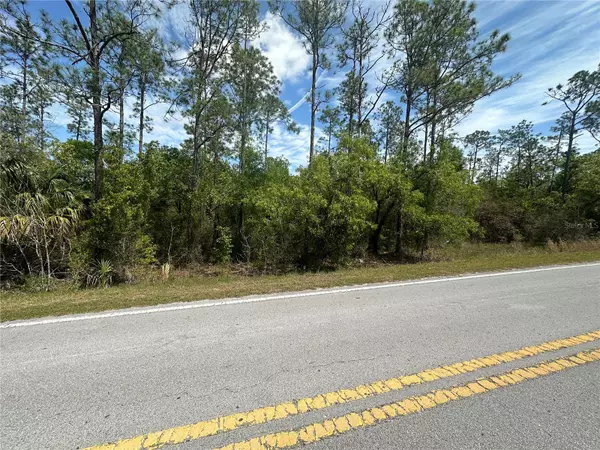 Dunnellon, FL 34431,SW MARINE BLVD