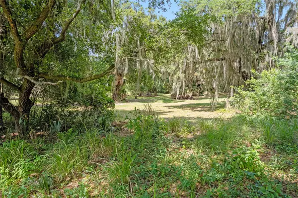 Eustis, FL 32726,COUNTY ROAD 44