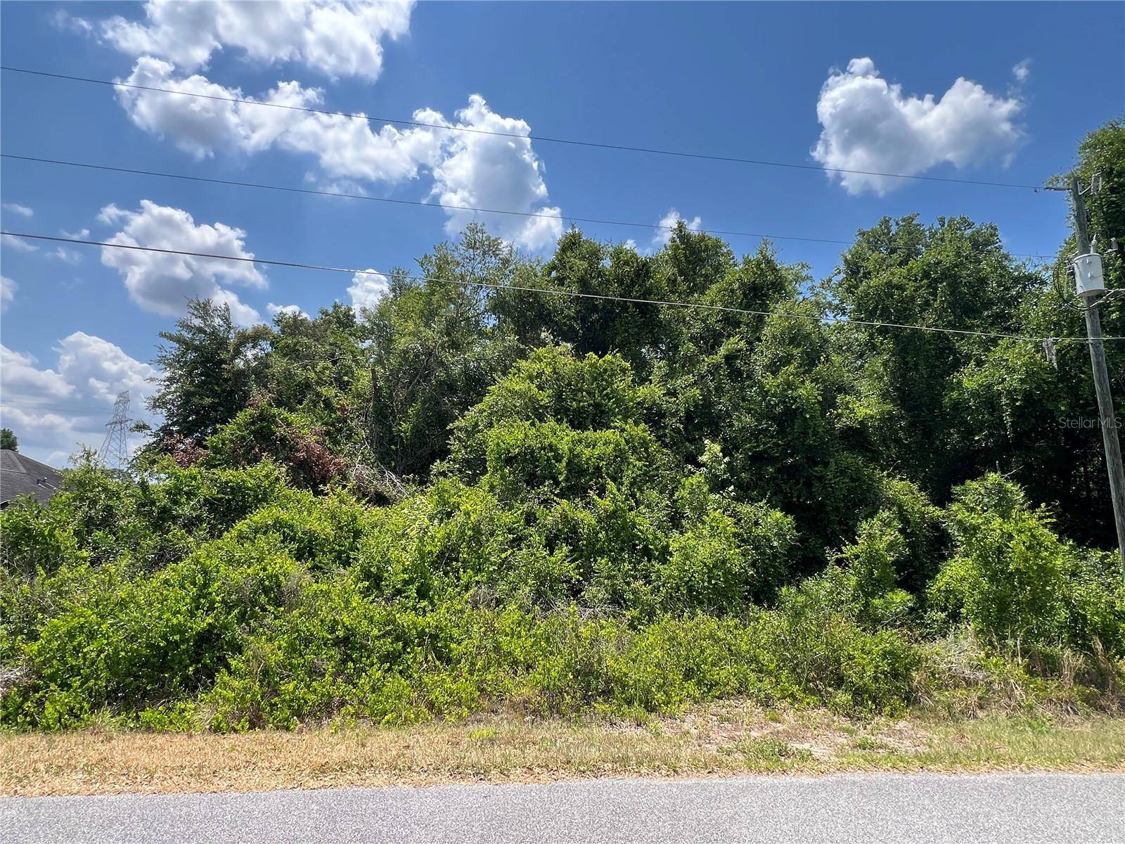 Summerfield, FL 34491,Lot 41 SE 81ST CT