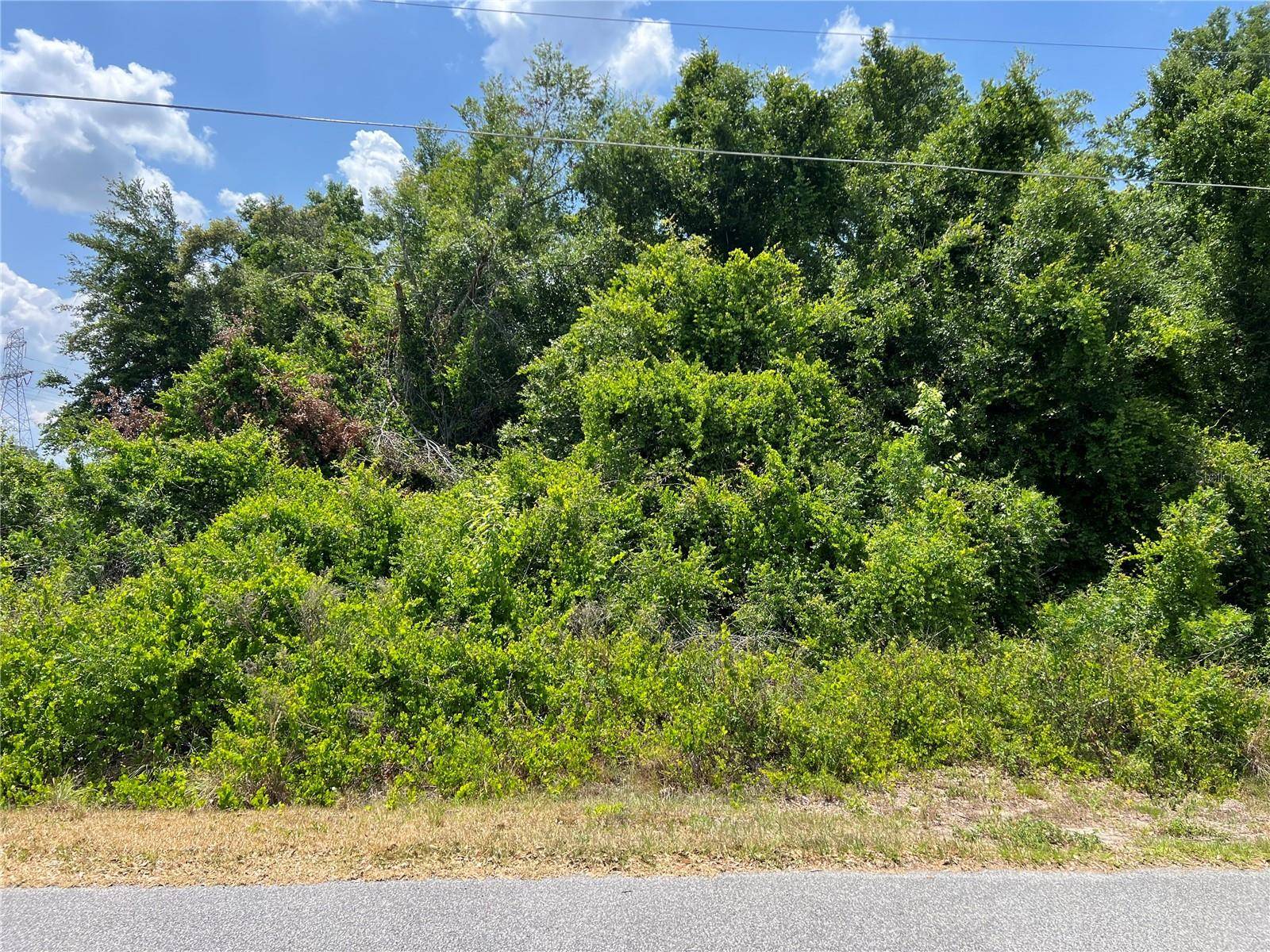 Summerfield, FL 34491,Lot 41 SE 81ST CT