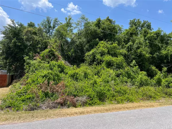 Summerfield, FL 34491,Lot 41 SE 81ST CT