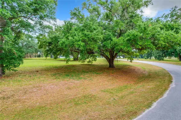 Groveland, FL 34736,LOT 70 ROYAL PALM DR