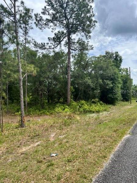 TBD 170th SE AVENUE RD, Ocklawaha, FL 32179