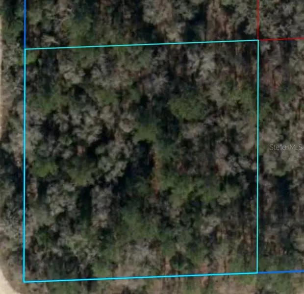 NE 16TH ST #Lot 6, Williston, FL 32696