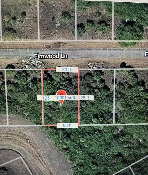 216 ELMWOOD ST, Labelle, FL 33935