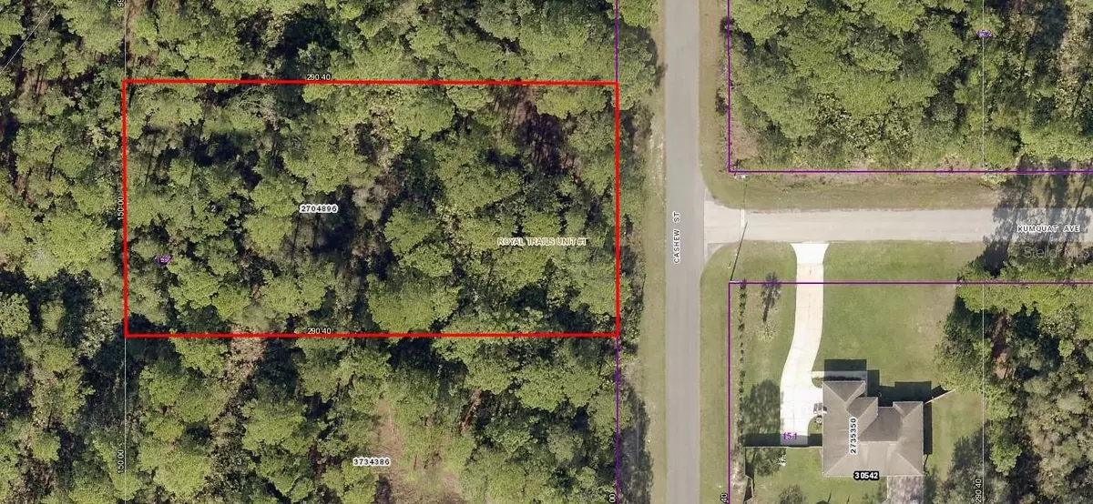 Eustis, FL 32736,42199 CASHEW ST