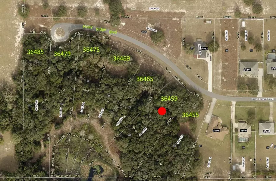 36459 PINEY RIDGE BLVD, Fruitland Park, FL 34731